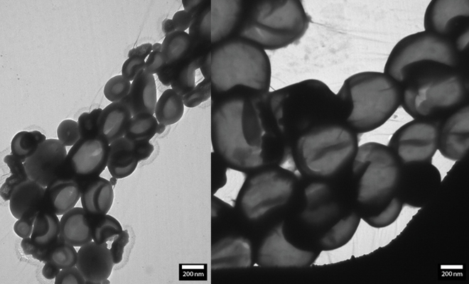 Polymers imaged by LVRM