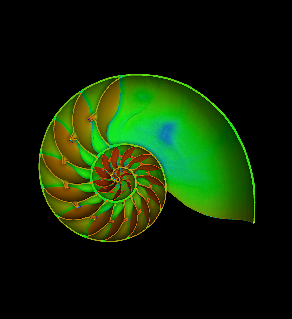 CT Scan from perlboot